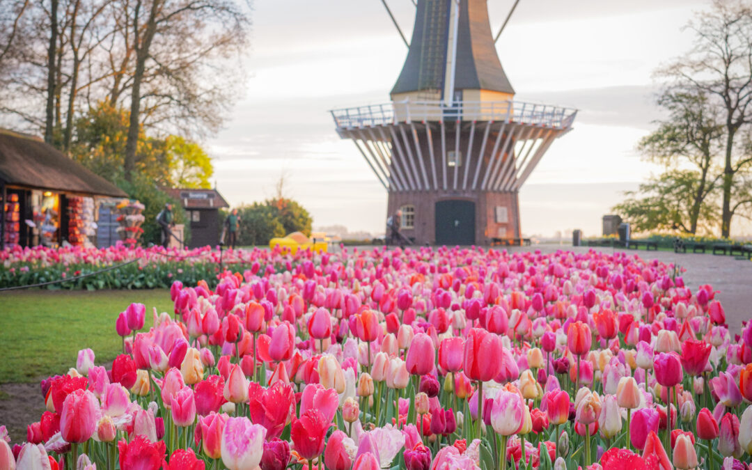 Übernachtung in der Nähe des Keukenhof
